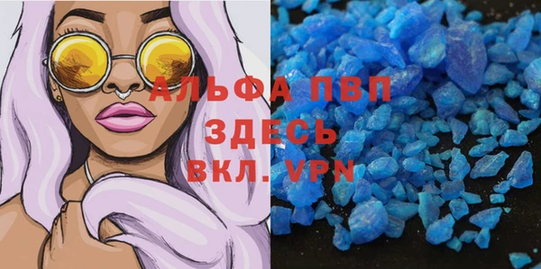 СК Алзамай