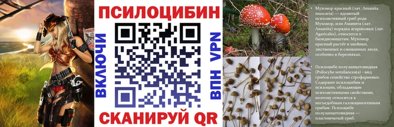 Псилоцибиновые грибы MAGIC MUSHROOMS  маркетплейс наркотические препараты  Алупка 